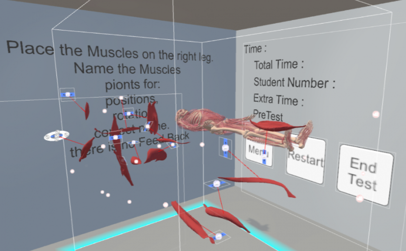 Bones with floating muscles in a VR test